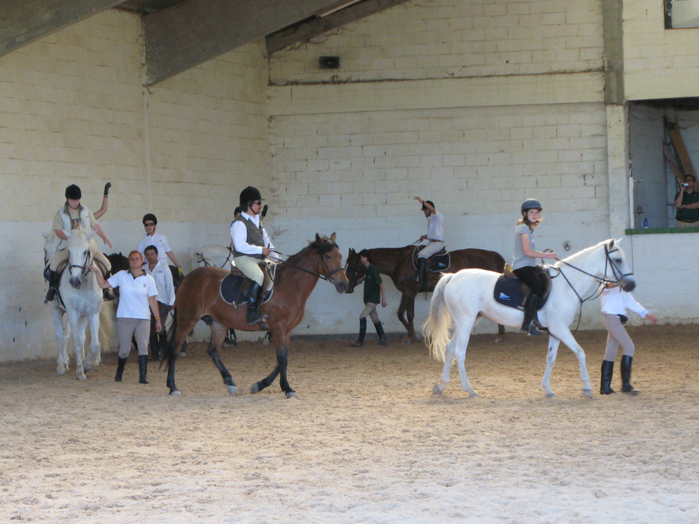 Clausura del Curso de Equitación Adaptada organizado por la RSD Hípica