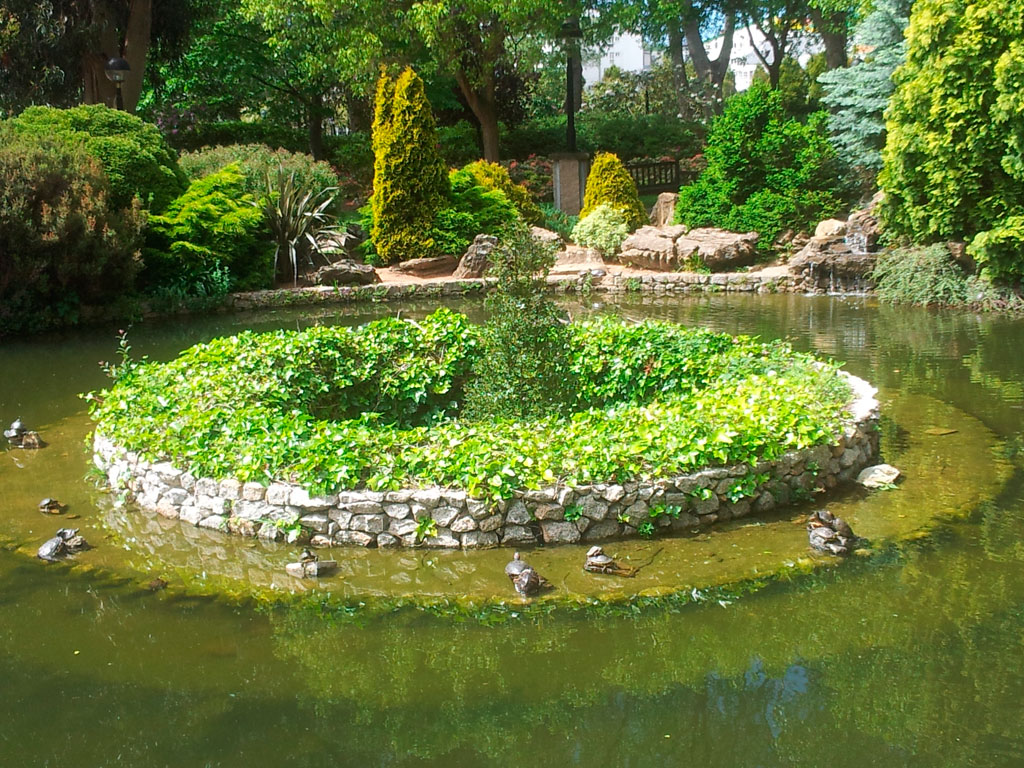 Nuevo acebo para el estanque del Parque de Santa Cristina, en su 31 aniversario inaugural